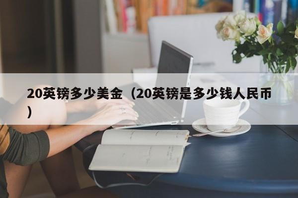 20英镑多少美金（20英镑是多少钱人民币）