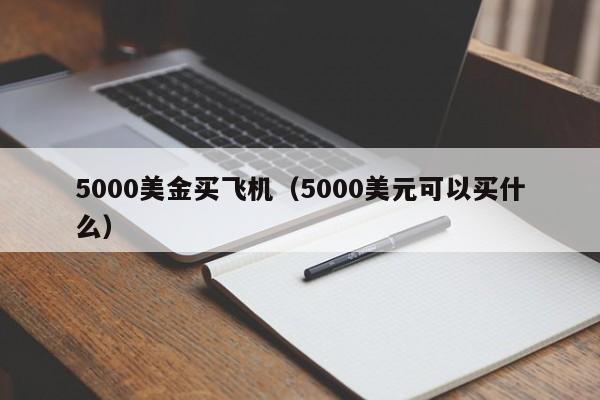 5000美金买飞机（5000美元可以买什么）
