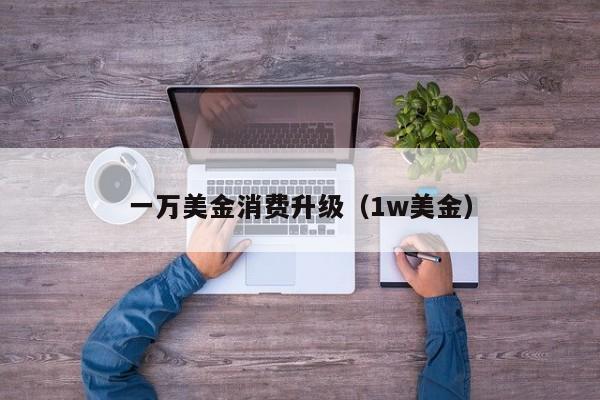 一万美金消费升级（1w美金）