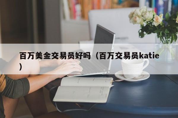 百万美金交易员好吗（百万交易员katie）