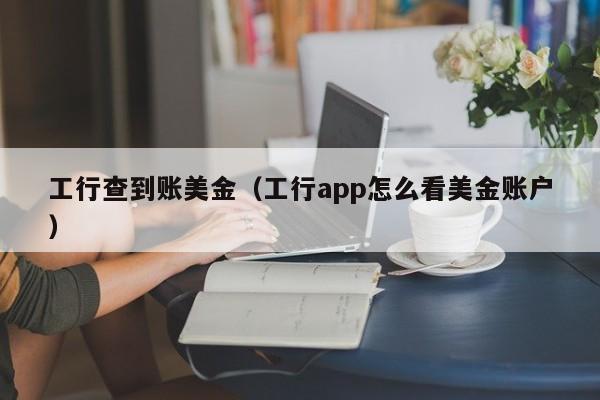 工行查到账美金（工行app怎么看美金账户）