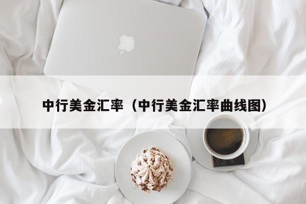 中行美金汇率（中行美金汇率曲线图）
