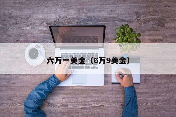 六万一美金（6万9美金）