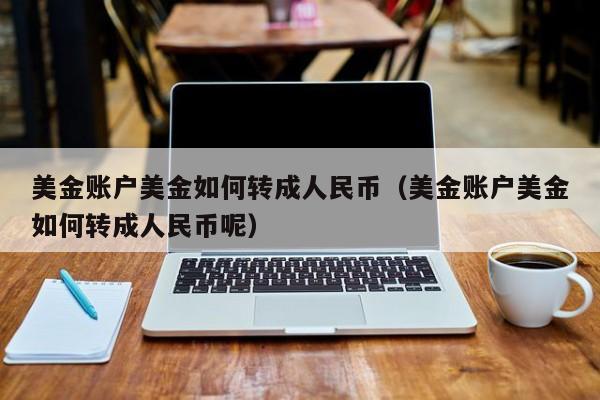 美金账户美金如何转成人民币（美金账户美金如何转成人民币呢）