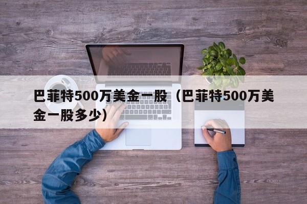 巴菲特500万美金一股（巴菲特500万美金一股多少）