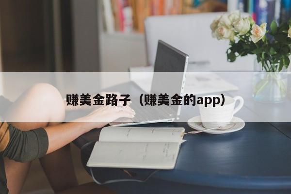 赚美金路子（赚美金的app）