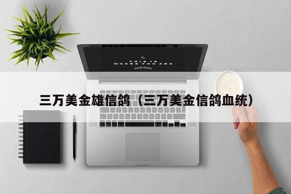 三万美金雄信鸽（三万美金信鸽血统）
