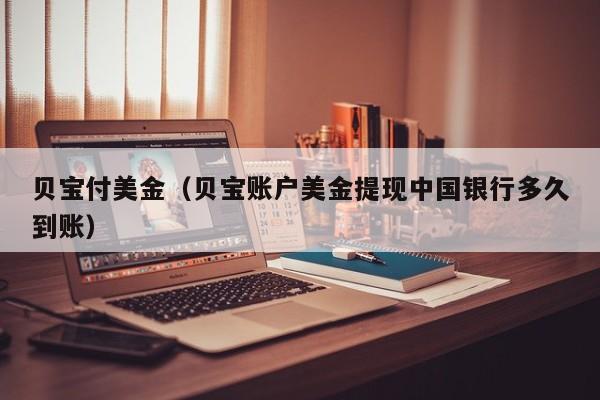 贝宝付美金（贝宝账户美金提现中国银行多久到账）