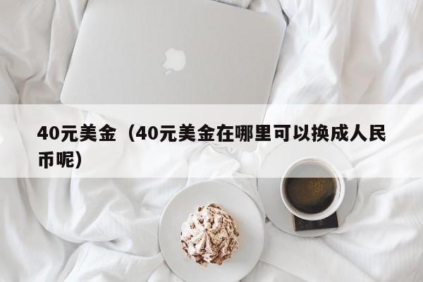 40元美金（40元美金在哪里可以换成人民币呢）