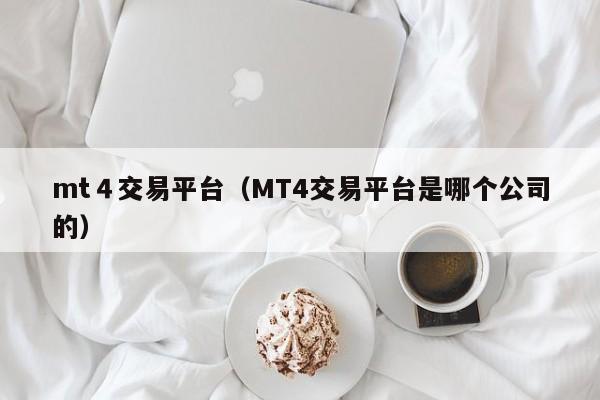 mt４交易平台（MT4交易平台是哪个公司的）