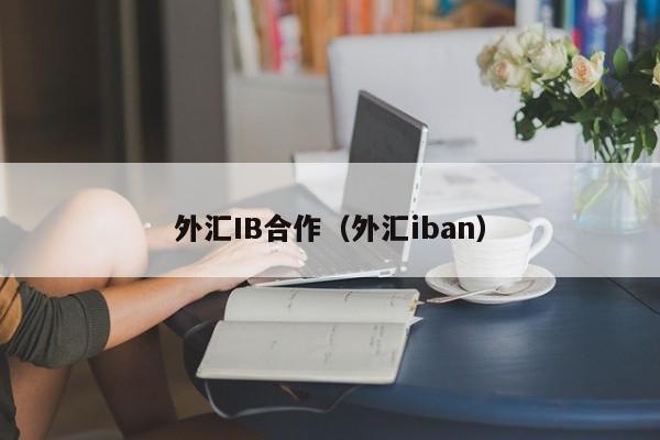 外汇IB合作（外汇iban）