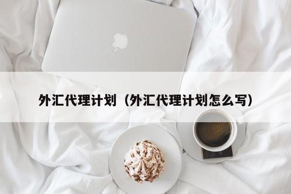 外汇代理计划（外汇代理计划怎么写）