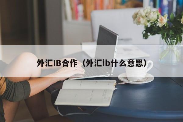 外汇IB合作（外汇ib什么意思）