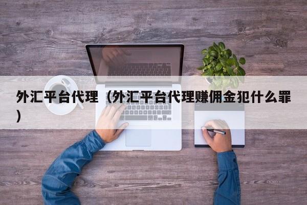外汇平台代理（外汇平台代理赚佣金犯什么罪）
