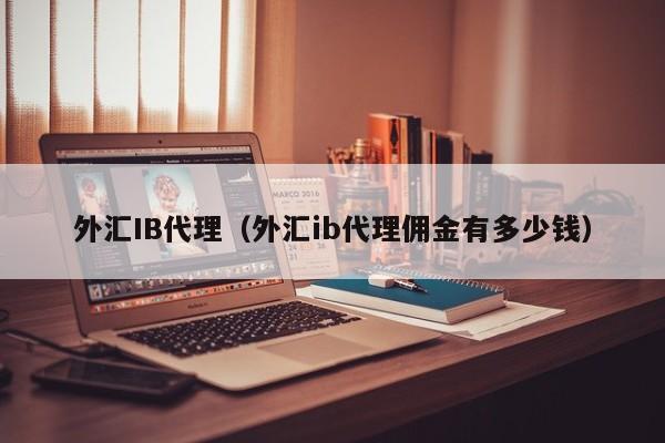 外汇IB代理（外汇ib代理佣金有多少钱）