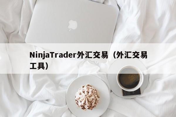 NinjaTrader外汇交易（外汇交易工具）