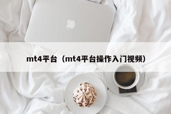 mt4平台（mt4平台操作入门视频）